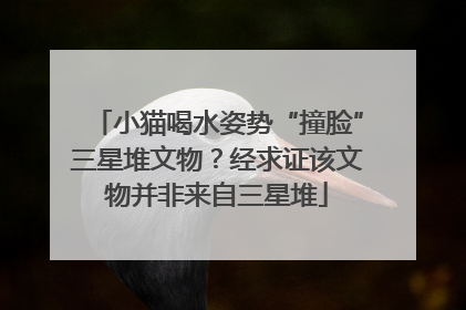 小猫喝水姿势“撞脸”三星堆文物？经求证该文物并非来自三星堆