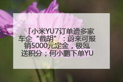 小米YU7订单遭多家车企“截胡”：蔚来可报销5000元定金，极氪送积分；何小鹏下单YU7，喊话雷军早点交付