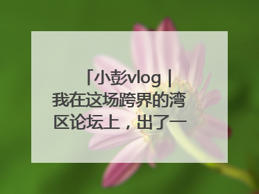 小彭vlog｜我在这场跨界的湾区论坛上，出了一道高考题……
