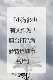 小海参也有大作为！烟台打造海参特色城市名片