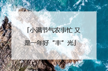 小满节气农事忙 又是一年好“丰”光
