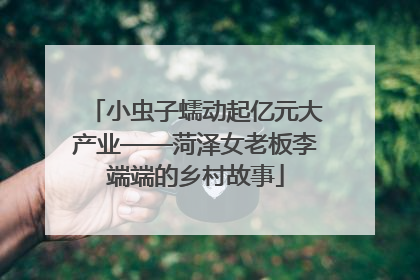 小虫子蠕动起亿元大产业——菏泽女老板李端端的乡村故事