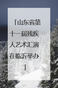 山东省第十一届残疾人艺术汇演在临沂举办
