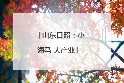 山东日照：小海马 大产业