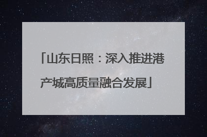 山东日照：深入推进港产城高质量融合发展
