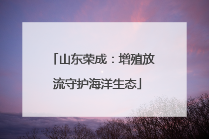 山东荣成：增殖放流守护海洋生态