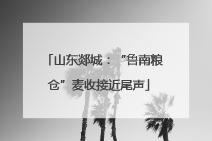 山东郯城：“鲁南粮仓”麦收接近尾声