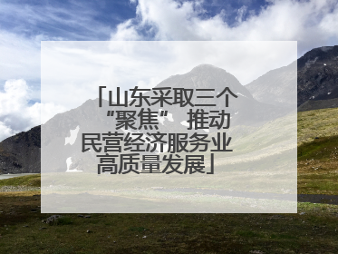 山东采取三个“聚焦” 推动民营经济服务业高质量发展