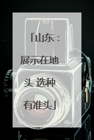 山东：展示在地头 选种有准头
