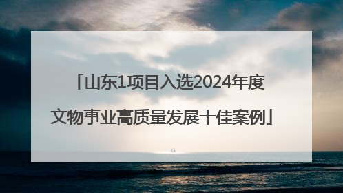 山东1项目入选2024年度文物事业高质量发展十佳案例