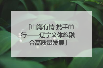山海有情 携手前行——辽宁文体旅融合高质量发展