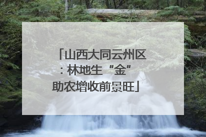 山西大同云州区：林地生“金” 助农增收前景旺