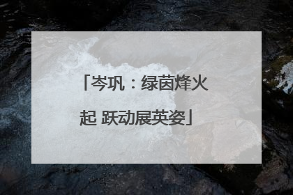 岑巩：绿茵烽火起 跃动展英姿