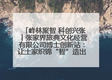 峰林聚智 科创兴张丨张家界旅典文化经营有限公司博士创新站：让土家织锦“智”造出非遗新传奇