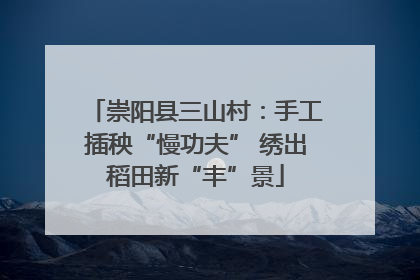崇阳县三山村：手工插秧“慢功夫” 绣出稻田新“丰”景