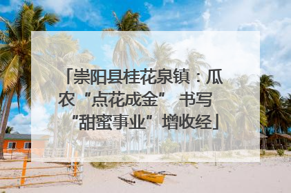 崇阳县桂花泉镇：瓜农“点花成金” 书写“甜蜜事业”增收经