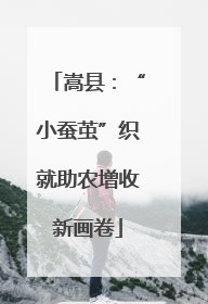嵩县：“小蚕茧”织就助农增收新画卷