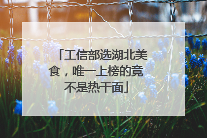 工信部选湖北美食，唯一上榜的竟不是热干面