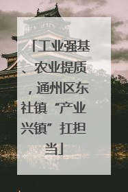 工业强基、农业提质，通州区东社镇“产业兴镇”扛担当