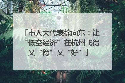 市人大代表徐向东：让“低空经济”在杭州飞得又“稳”又“好”