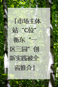 市场主体站“C位” 衡东“一区三园”创新实践被全省推介
