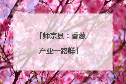 师宗县：香葱产业一路鲜