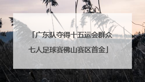 广东队夺得十五运会群众七人足球赛佛山赛区首金