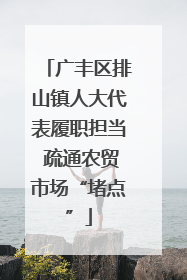 广丰区排山镇人大代表履职担当 疏通农贸市场“堵点”