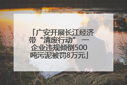 广安开展长江经济带“清废行动” 一企业违规倾倒500吨污泥被罚8万元