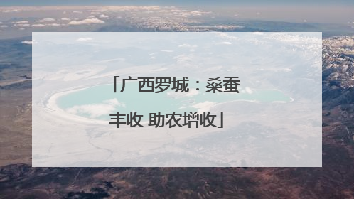 广西罗城：桑蚕丰收 助农增收