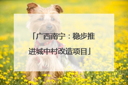 广西南宁：稳步推进城中村改造项目