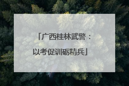 广西桂林武警：以考促训砺精兵