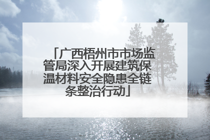 广西梧州市市场监管局深入开展建筑保温材料安全隐患全链条整治行动