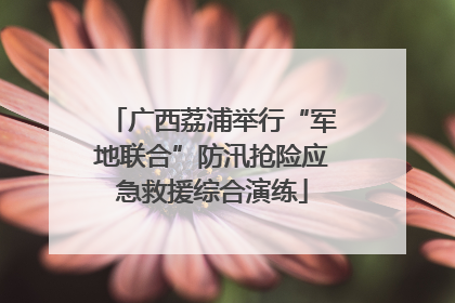 广西荔浦举行“军地联合”防汛抢险应急救援综合演练