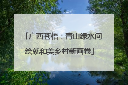 广西苍梧：青山绿水间绘就和美乡村新画卷