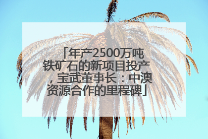年产2500万吨铁矿石的新项目投产，宝武董事长：中澳资源合作的里程碑