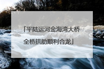 平陆运河金海湾大桥全桥拱肋顺利合龙