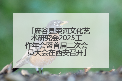 府谷县荣河文化艺术研究会2025工作年会暨首届二次会员大会在西安召开