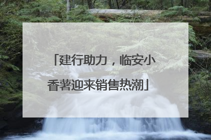 建行助力，临安小香薯迎来销售热潮