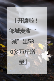 开镰啦！邹城麦收“减”出530多万斤增量