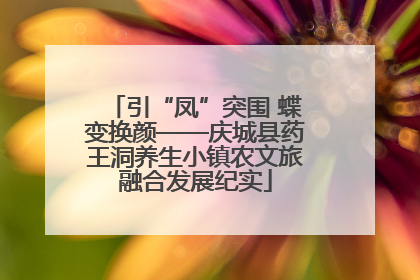 引“凤”突围 蝶变换颜——庆城县药王洞养生小镇农文旅融合发展纪实