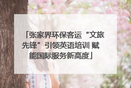 张家界环保客运“文旅先锋”引领英语培训 赋能国际服务新高度
