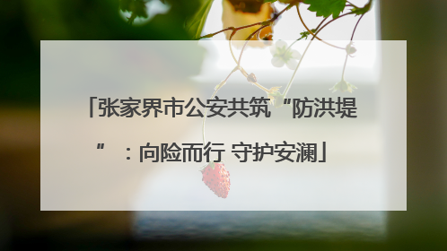 张家界市公安共筑“防洪堤”：向险而行 守护安澜