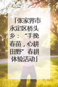 张家界市永定区桥头乡：“手挽春苗，心耕田野”春耕体验活动