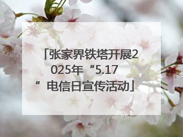 张家界铁塔开展2025年“5.17”电信日宣传活动