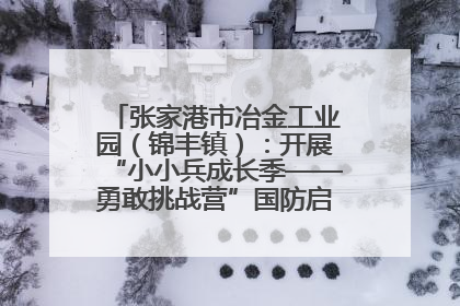 张家港市冶金工业园（锦丰镇）：开展“小小兵成长季——勇敢挑战营”国防启蒙教育活动