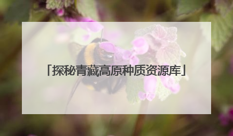 探秘青藏高原种质资源库