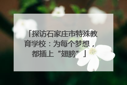 探访石家庄市特殊教育学校：为每个梦想，都插上“翅膀”