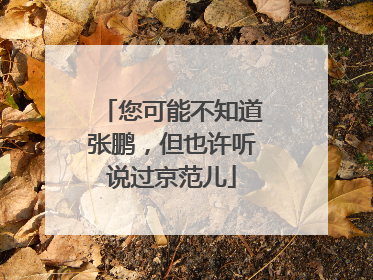 您可能不知道张鹏，但也许听说过京范儿