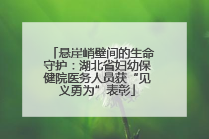 悬崖峭壁间的生命守护：湖北省妇幼保健院医务人员获“见义勇为”表彰
